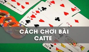Bí Quyết Chơi Sắc Tê 7Ball: Thắng Lớn Trong Từng Ván Bài