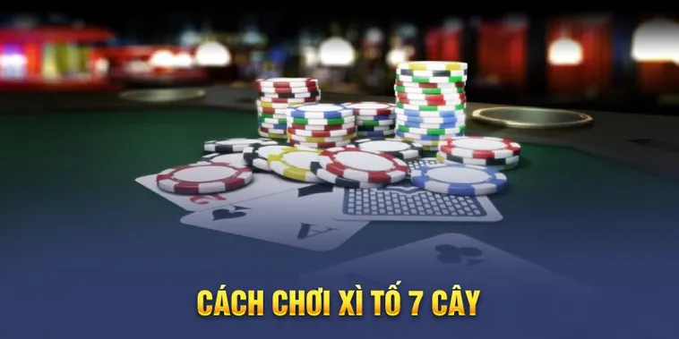 Tham Gia Xì Tố Tại 7Ball Ngay Hôm Nay Để Thắng Lớn